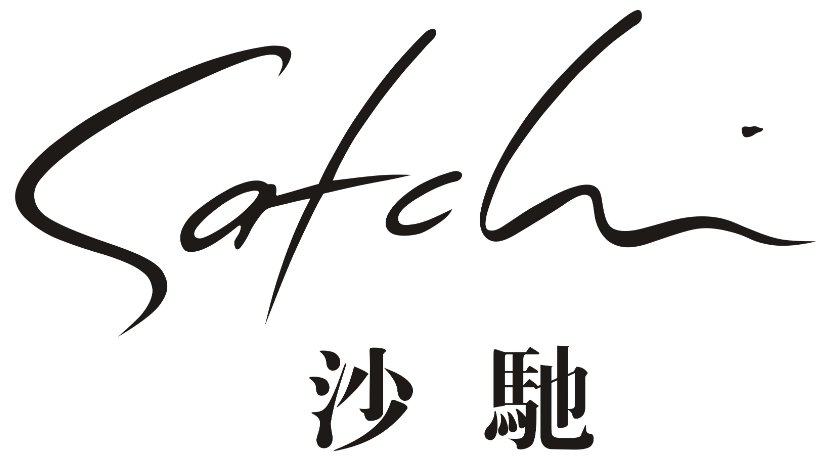 买了个沙驰,向大家请教怎么辨别真假.