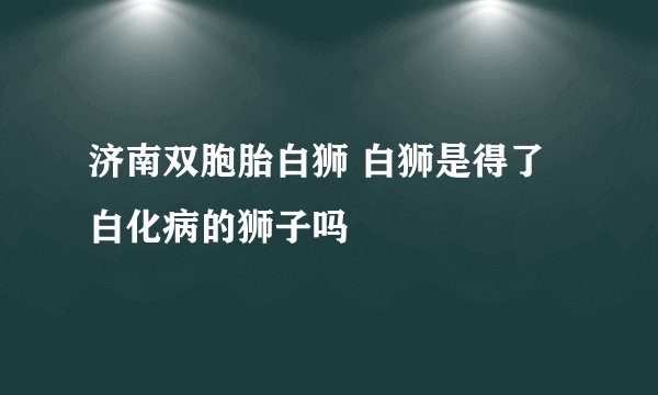济南双胞胎白狮 白狮是得了白化病的狮子吗