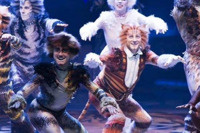 用艺术的角度简述歌舞剧猫