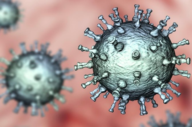 石家庄新增确诊曾去过武汉汉正街？