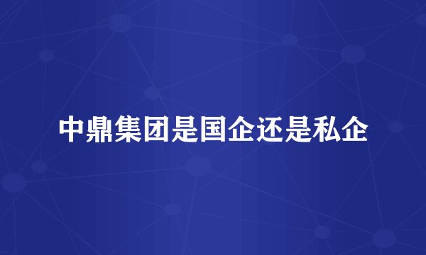 中鼎集团是国企还是私企