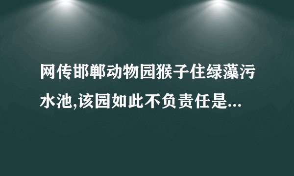网传邯郸动物园猴子住绿藻污水池,该园如此不负责任是否该得到应有的惩...