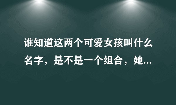 谁知道这两个可爱女孩叫什么名字，是不是一个组合，她们模仿了好多明星