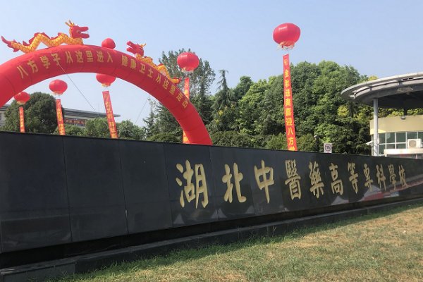 湖北中医药大学专科分数线