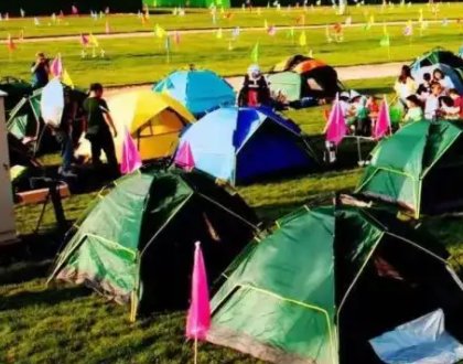 山东一女子带娃露营，帐篷遭羊群包围，野外露营如何将危险降到最低？