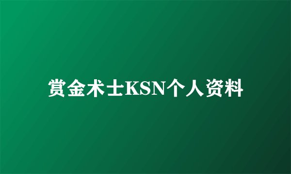 赏金术士KSN个人资料
