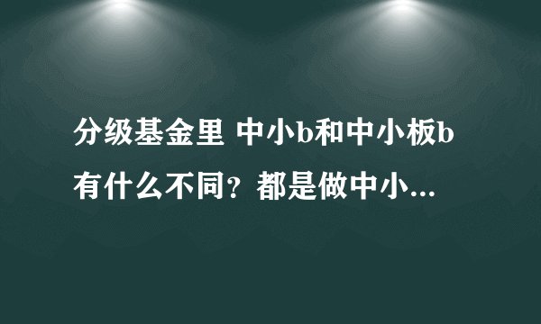 分级基金里 中小b和中小板b有什么不同？都是做中小板的吗？
