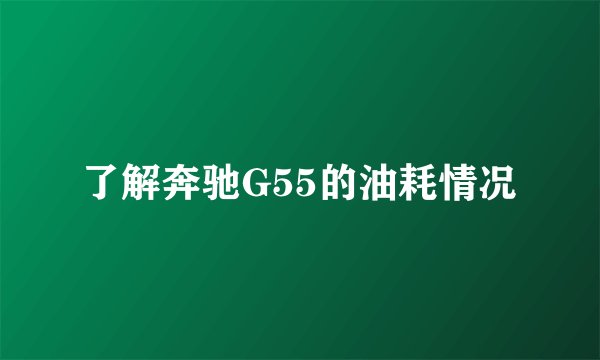 了解奔驰G55的油耗情况