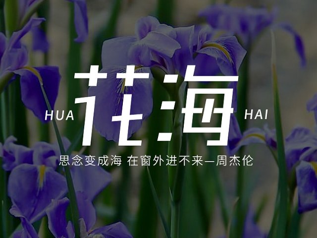 微信铃声排行榜前十名