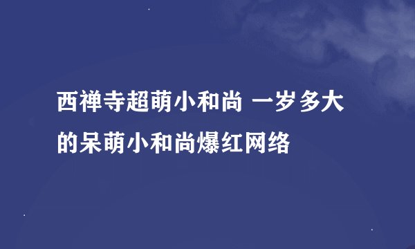西禅寺超萌小和尚 一岁多大的呆萌小和尚爆红网络