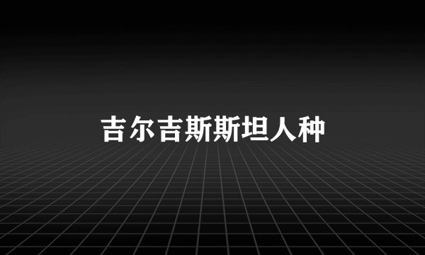 吉尔吉斯斯坦人种