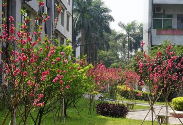 肇庆农业学校招生办电话