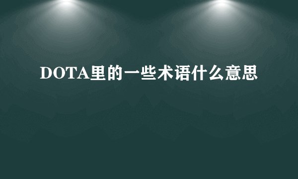 DOTA里的一些术语什么意思