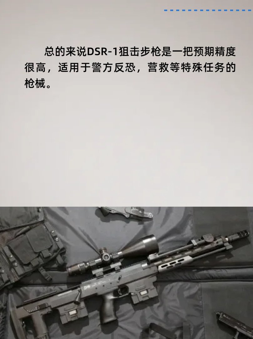 德警利器DSR-1