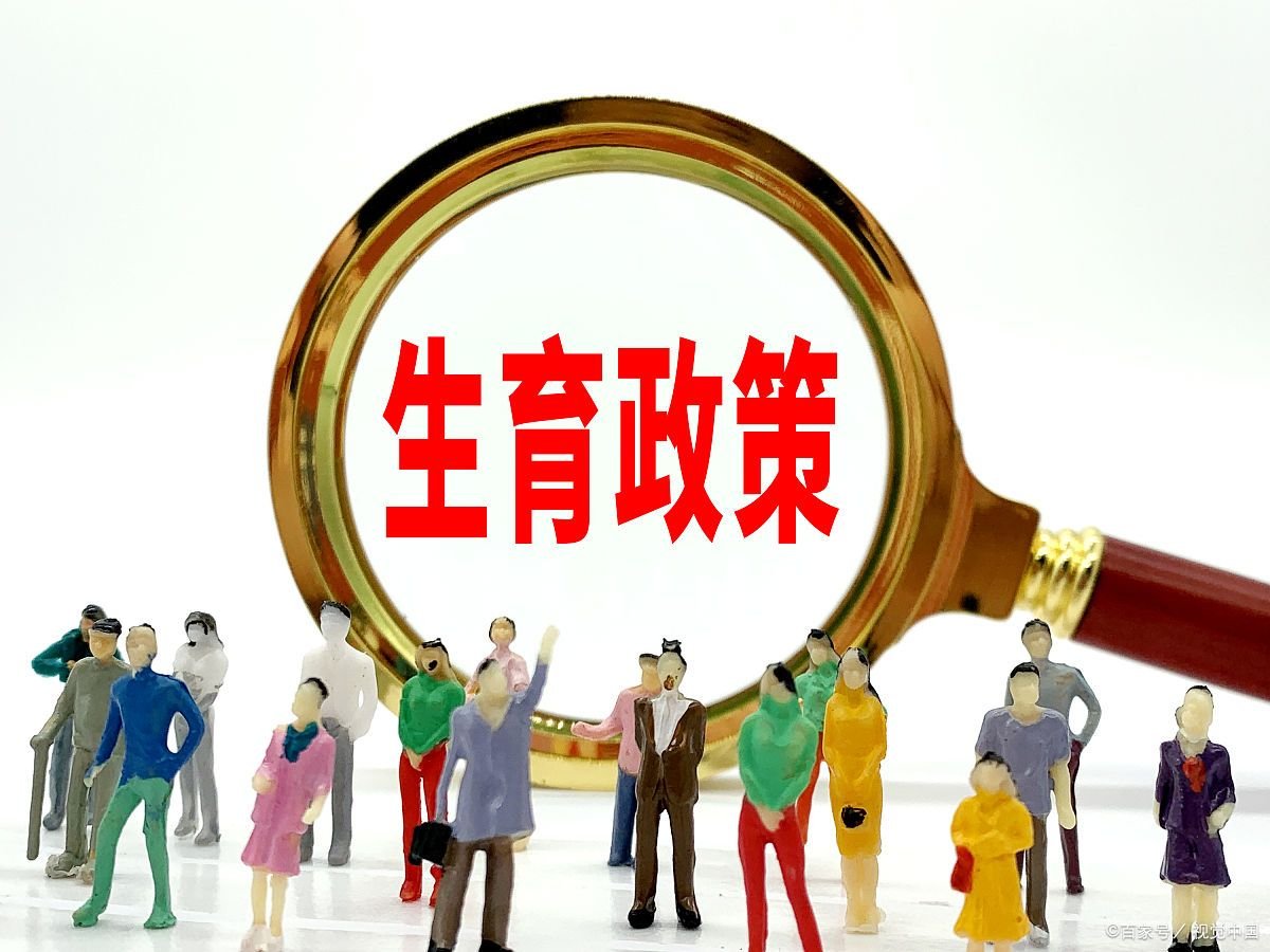 优化什么建立生育支持政策体系