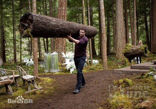 男生推荐女生看暮光之城是什么意思