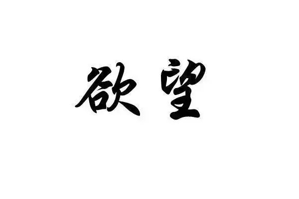 desires是什么意思