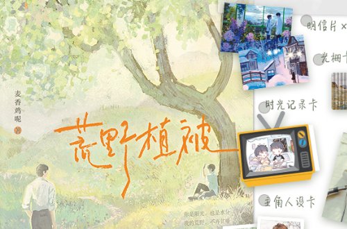 荒野植被小说讲的什么