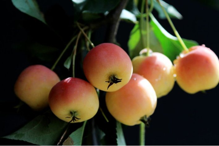 十个有田的独体字怎么写