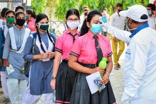 印度一动物园8头狮子确诊新冠，它们是被怎么感染的？