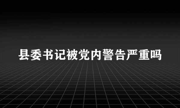 县委书记被党内警告严重吗