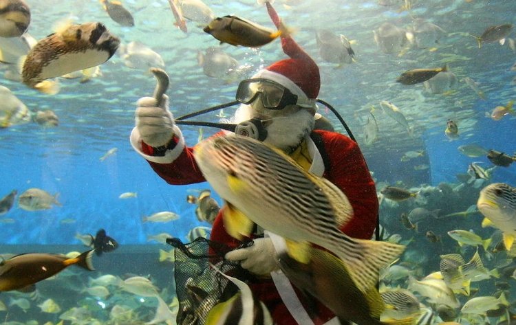 圣诞老人叫什么名字?