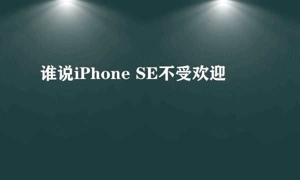 谁说iPhone SE不受欢迎