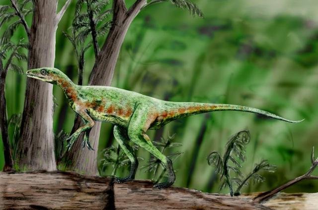 刚果盆地深处还有活恐龙，这是真的吗？