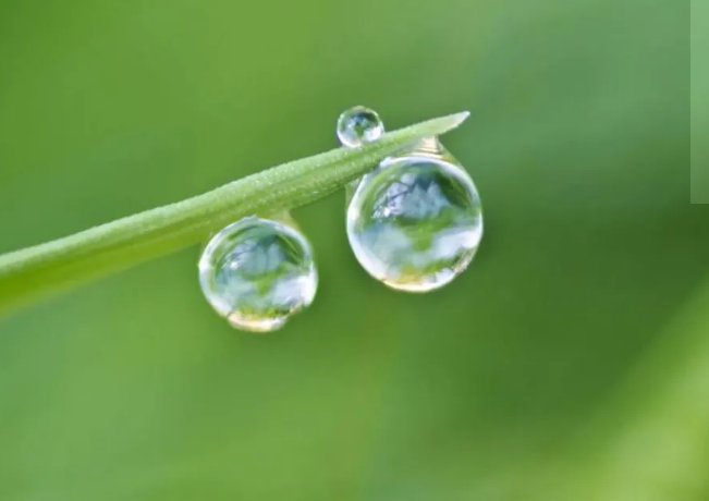 白露节气是什么来历