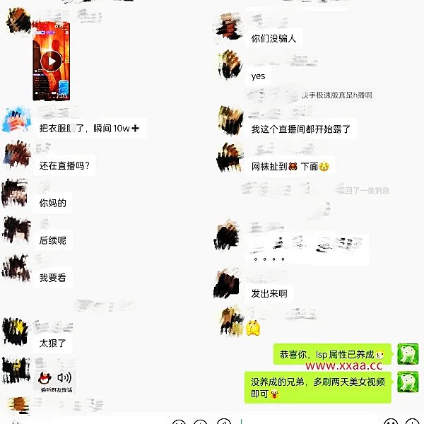 秃崽不是坏女人,导什么意思