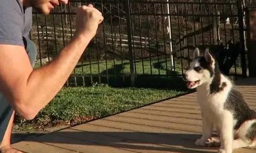 好大儿是什么梗呢?