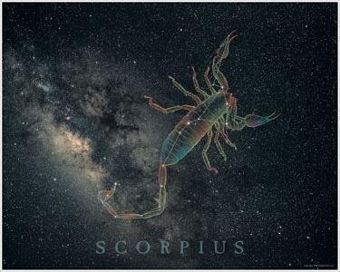 11.15号出生的是什么星座