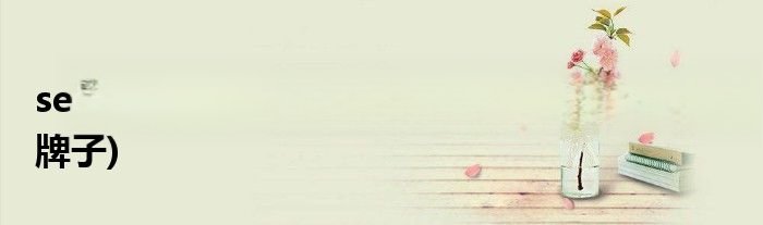 selected是什么牌子的手表(selected是什么牌子)