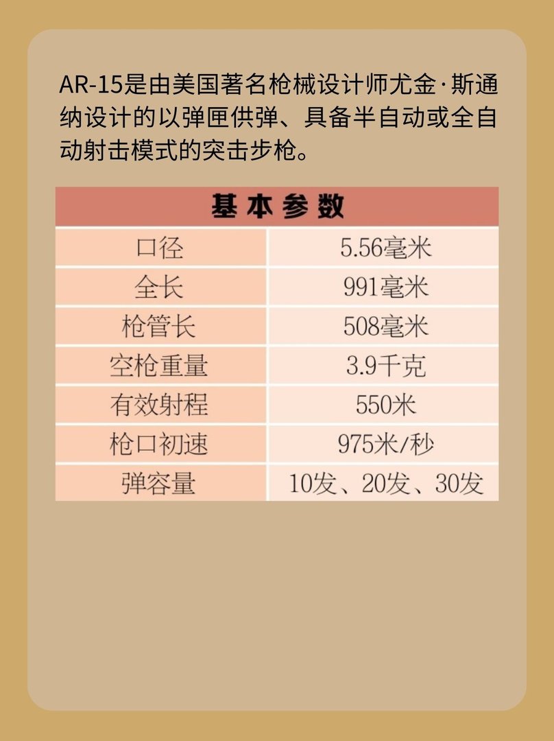 美国AR-15突击步枪