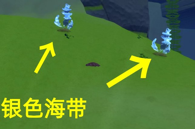 鳞甲海龟的饲料怎么做