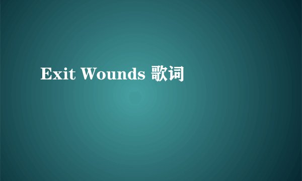 Exit Wounds 歌词