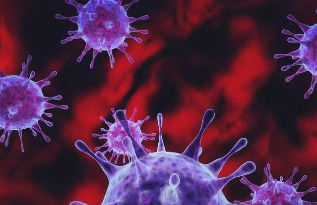 西北名族大学265名学生诺如病毒感染，是因何造成的？