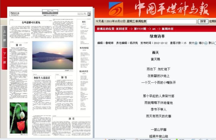 中国平煤神马报的介绍