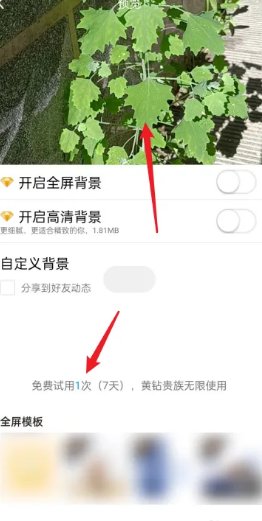 qq空间背景图怎么免费自定义