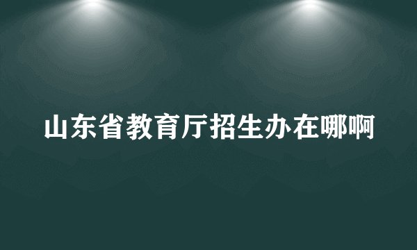 山东省教育厅招生办在哪啊