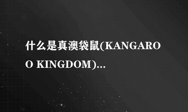 什么是真澳袋鼠(KANGAROO KINGDOM)手抓包品牌？