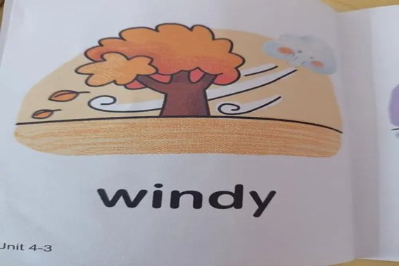 乱风是什么意思