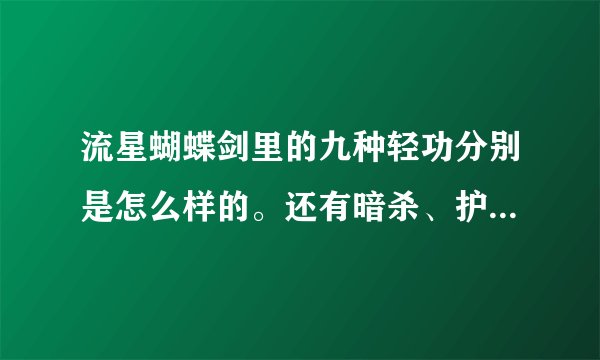 流星蝴蝶剑里的九种轻功分别是怎么样的。还有暗杀、护城是什么意思