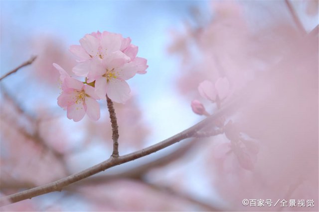 人以群分,物以类聚,什么意思?