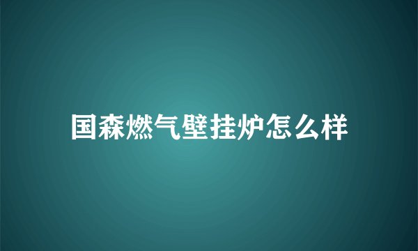 国森燃气壁挂炉怎么样