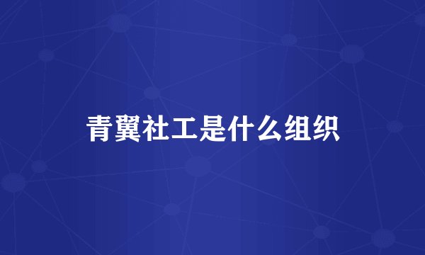 青翼社工是什么组织