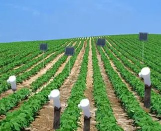 墒情怎么读什么意思