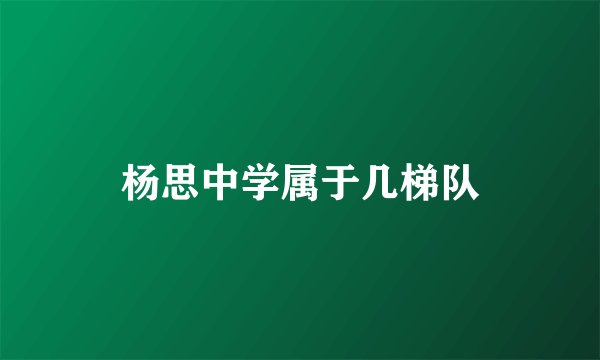 杨思中学属于几梯队