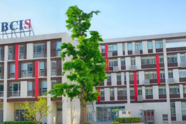 bcis是什么学校