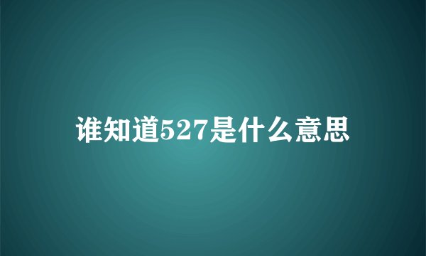 谁知道527是什么意思